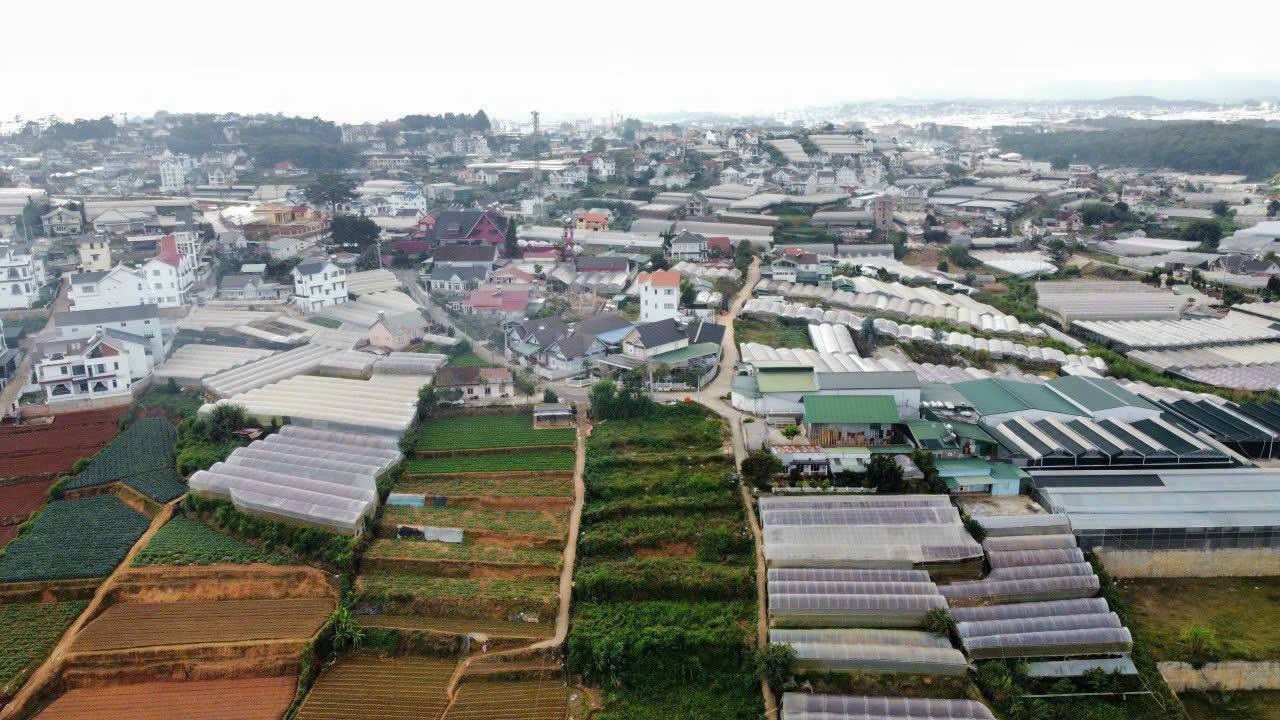 Bán 1101m2 ĐẤT MẶT TIỀN đường Trịnh Hoài Đức - Nam Hồ, P11, Đà Lạt, VIEW ĐẸP - Ảnh chính